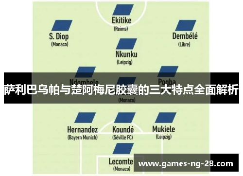 萨利巴乌帕与楚阿梅尼胶囊的三大特点全面解析